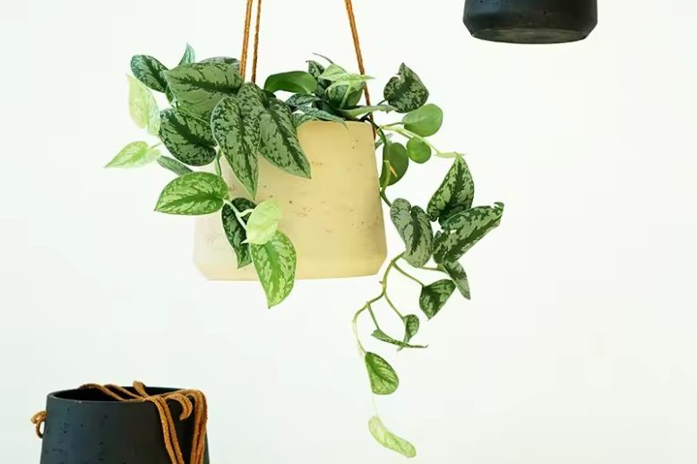 Ceramic Hanging Pot (1)