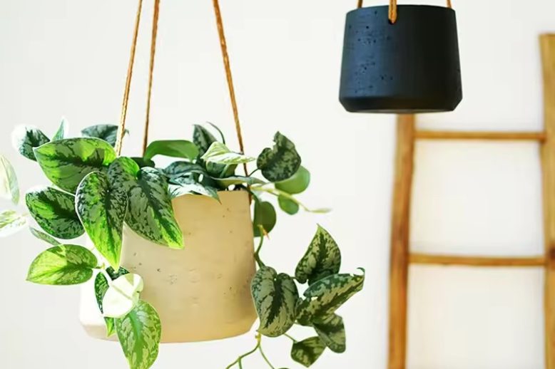 Ceramic Hanging Pot (2)