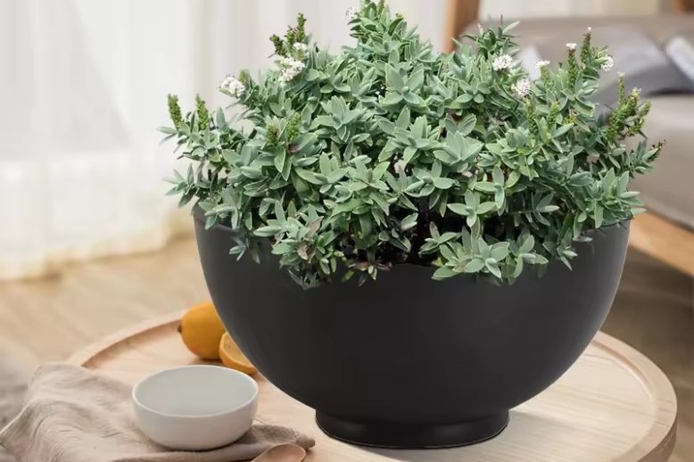 Large Ceramic Pot (1)