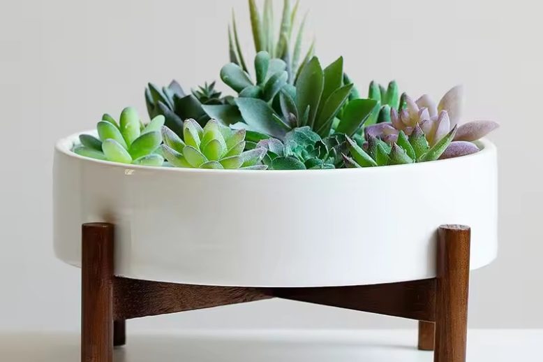 Large Ceramic Pot (3)