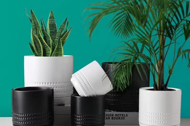 Large Ceramic Pot (3)