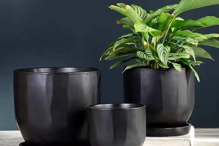 Large Ceramic Pot (4)