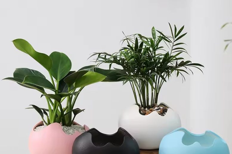 Large Ceramic Pot (5)