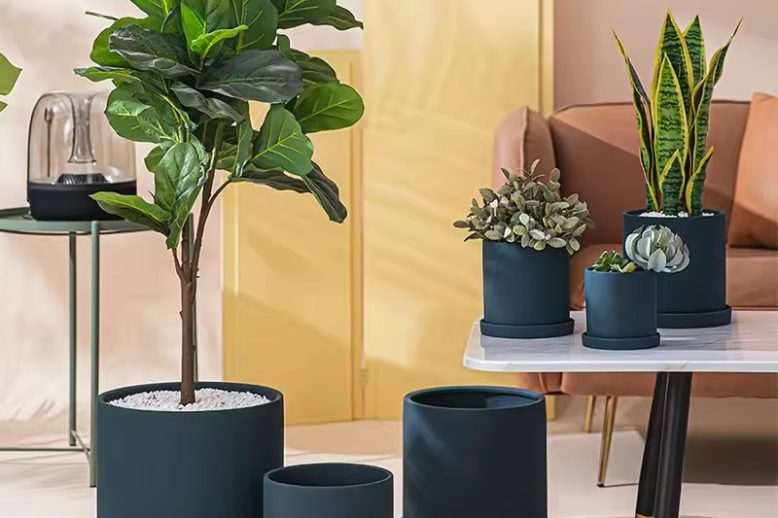 Large Ceramic Pot (5)