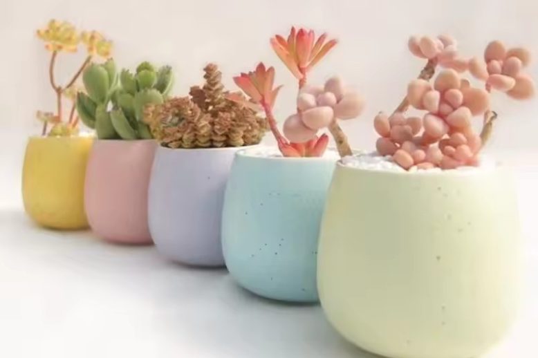 Small Ceramic Pot (2)