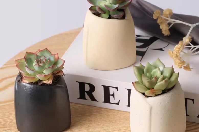 Small Ceramic Pot (2)