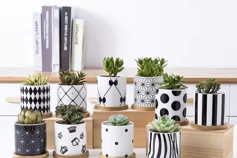 Small Ceramic Pot (3)