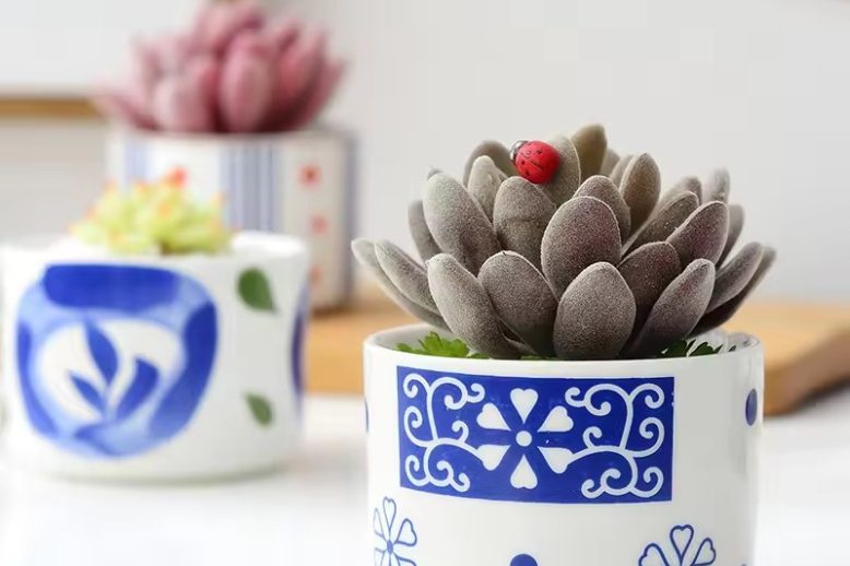 Small Ceramic Pot (3)