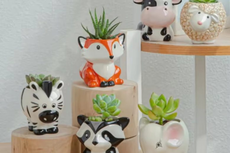 Small Ceramic Pot (3)