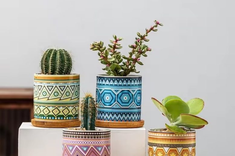 Small Ceramic Pot (5)