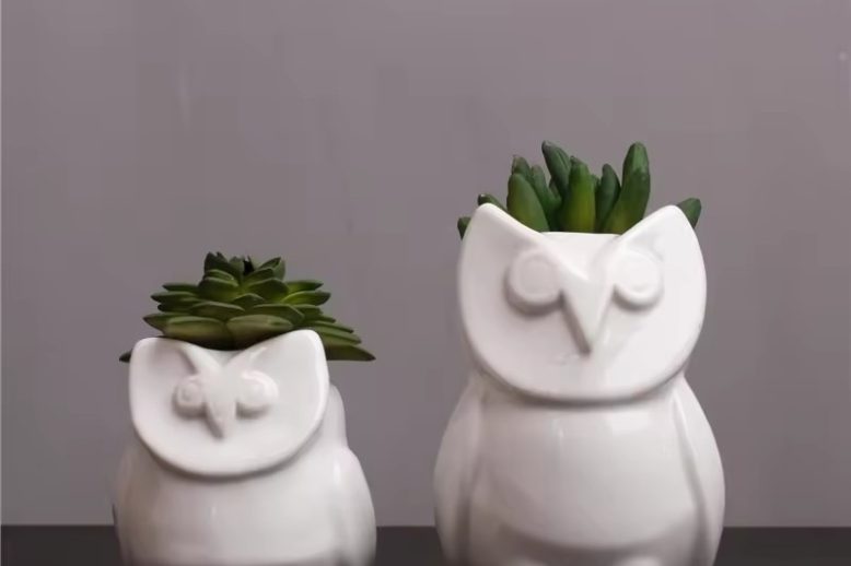 Small Ceramic Pot (5)